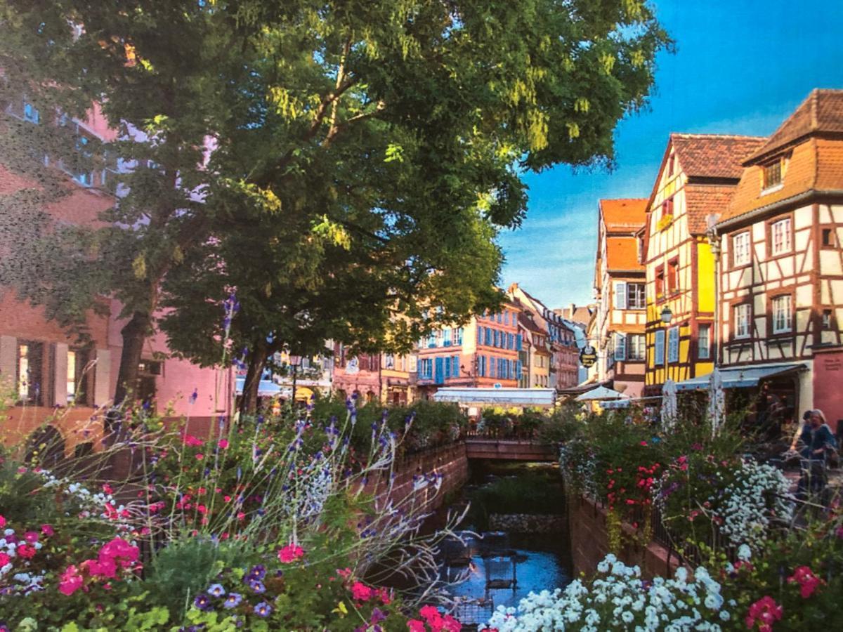 Gite De Charme Colmar Zewnętrze zdjęcie
